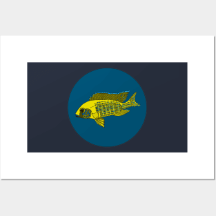 New Yellow Regal Cichlid Posters and Art